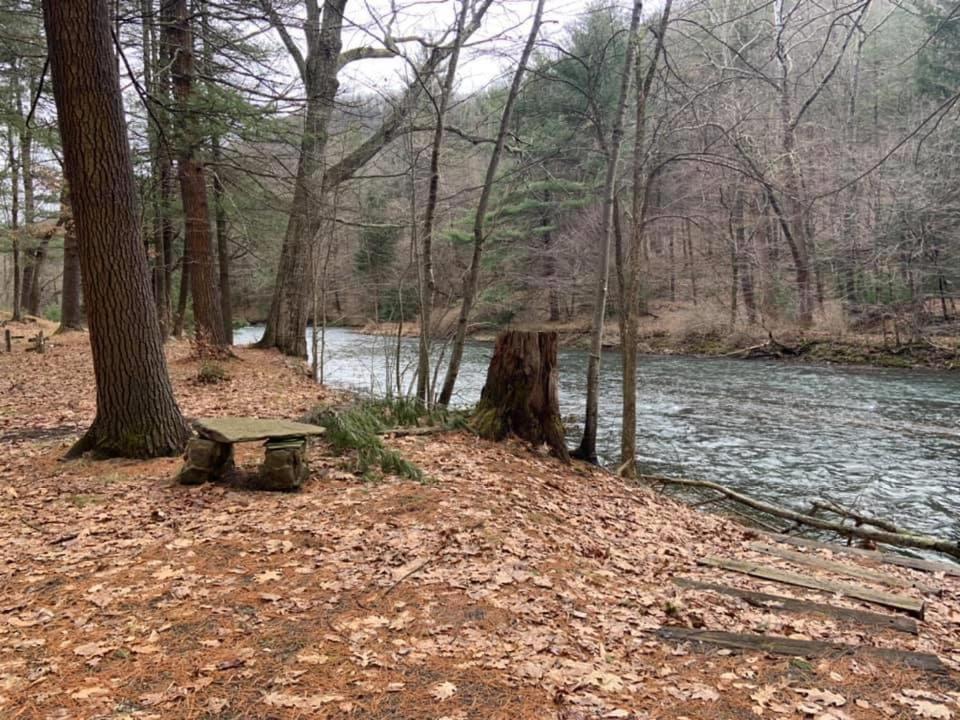 Pine Creek & Campsites Acampamento